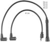 BERU ZEF405 Ignition Cable Kit